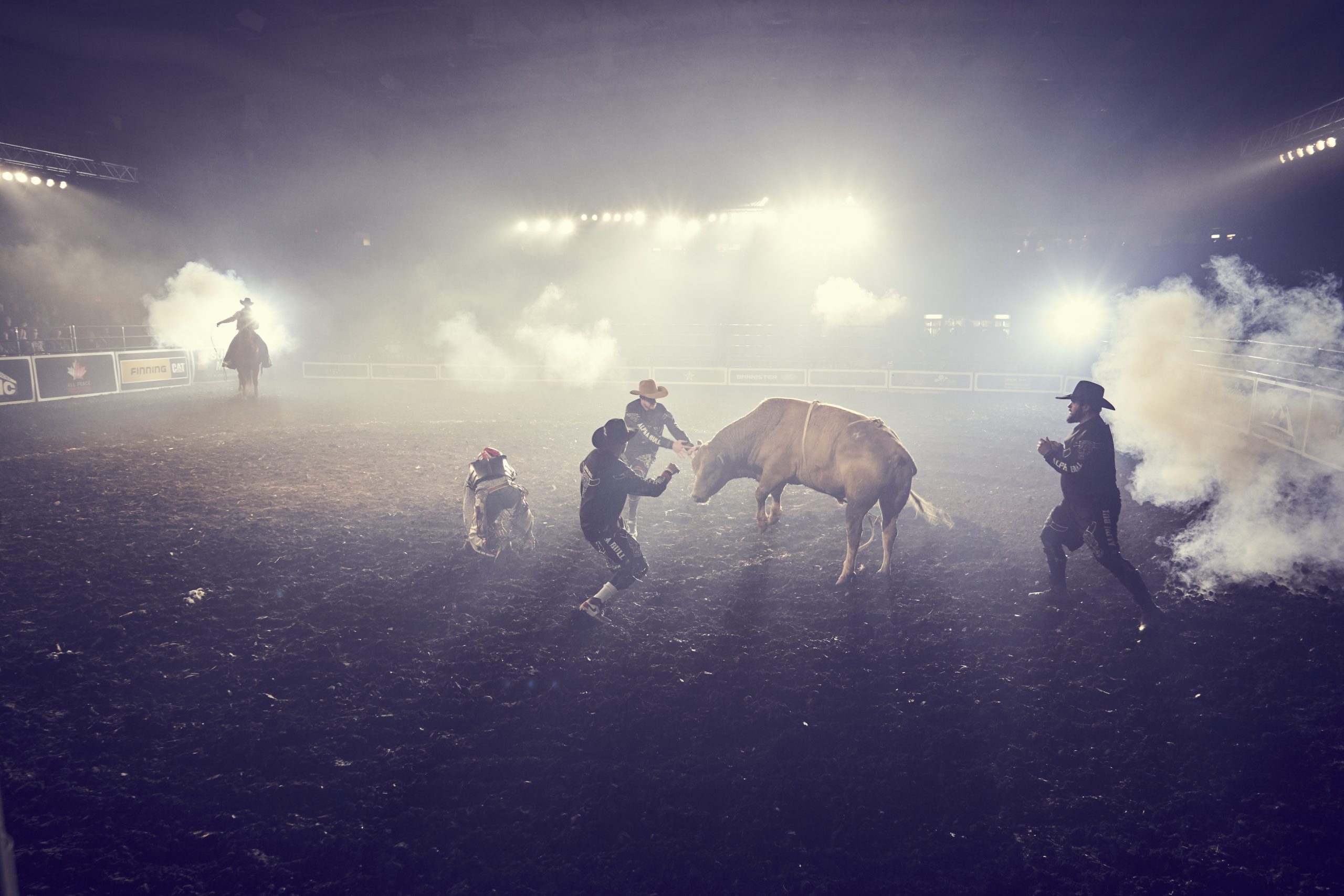 Alpha Bull Inc
